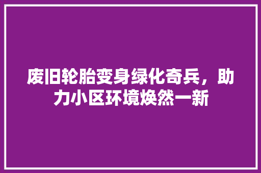 废旧轮胎变身绿化奇兵，助力小区环境焕然一新