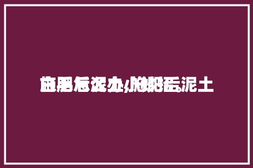 施肥后泥土
白毛怎么办,施肥后泥土
白毛怎么办小妙招。 施肥后泥土
白毛怎么办,施肥后泥土
白毛怎么办小妙招。 土壤施肥