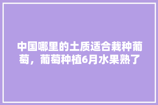 中国哪里的土质适合栽种葡萄，葡萄种植6月水果熟了吗。 中国哪里的土质适合栽种葡萄，葡萄种植6月水果熟了吗。 蔬菜种植