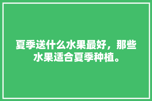 夏季送什么水果最好，那些水果适合夏季种植。