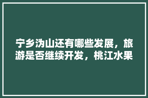 宁乡沩山还有哪些发展，旅游是否继续开发，桃江水果种植面积。