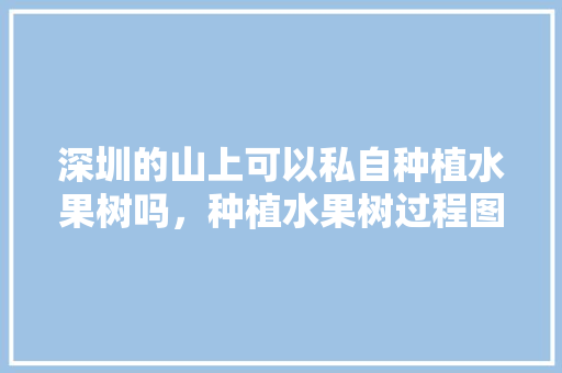 深圳的山上可以私自种植水果树吗，种植水果树过程图片大全。