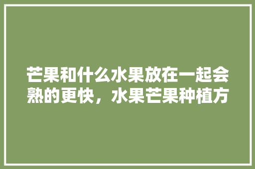 芒果和什么水果放在一起会熟的更快，水果芒果种植方法视频。