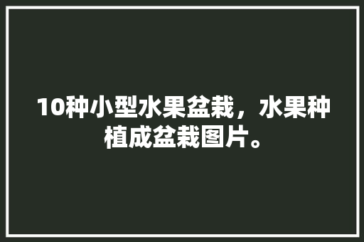 10种小型水果盆栽，水果种植成盆栽图片。