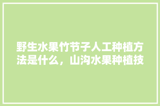 野生水果竹节子人工种植方法是什么，山沟水果种植技术视频。