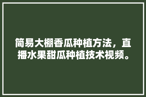 简易大棚香瓜种植方法，直播水果甜瓜种植技术视频。