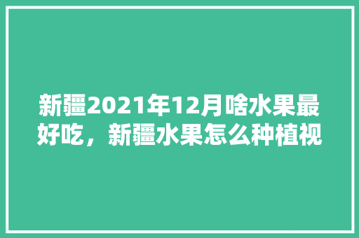 新疆2021年12月啥水果最好吃，新疆水果怎么种植视频。