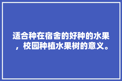 适合种在宿舍的好种的水果，校园种植水果树的意义。