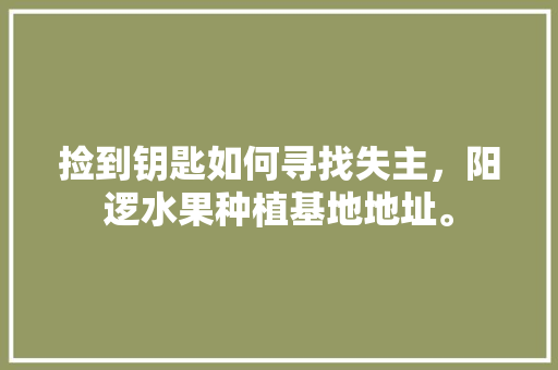 捡到钥匙如何寻找失主，阳逻水果种植基地地址。