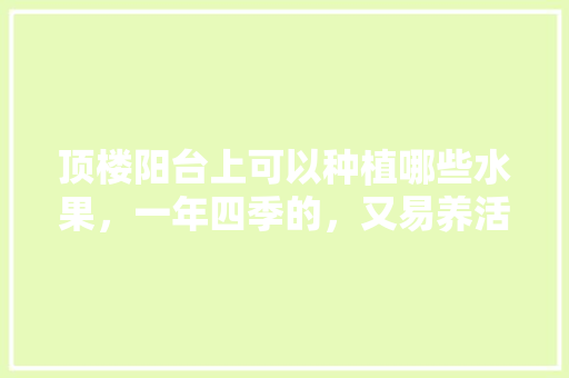 顶楼阳台上可以种植哪些水果，一年四季的，又易养活的，专业种植高端水果有哪些。