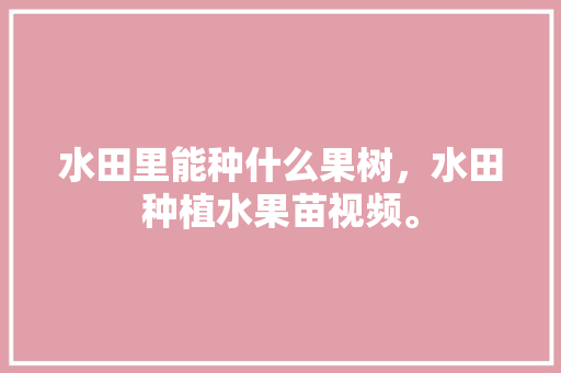 水田里能种什么果树，水田种植水果苗视频。