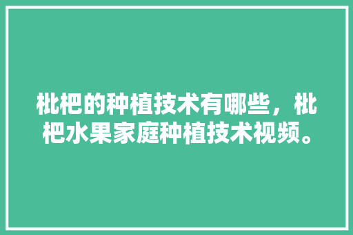 枇杷的种植技术有哪些，枇杷水果家庭种植技术视频。