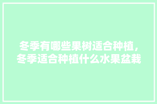 冬季有哪些果树适合种植，冬季适合种植什么水果盆栽。