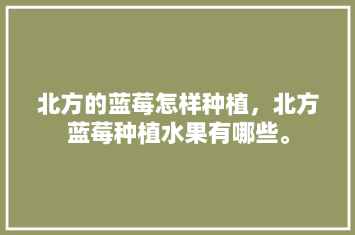 北方的蓝莓怎样种植，北方蓝莓种植水果有哪些。