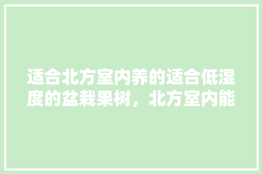 适合北方室内养的适合低湿度的盆栽果树，北方室内能种植水果吗。