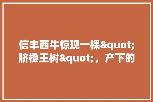 信丰西牛惊现一棵"脐橙王树"，产下的脐橙足足有720斤是真的吗，信丰水果脐橙种植基地在哪里。