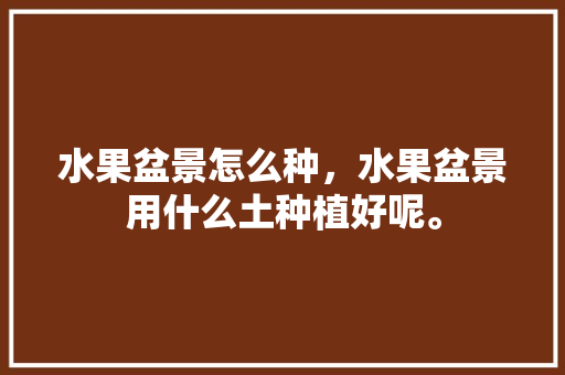 水果盆景怎么种，水果盆景用什么土种植好呢。