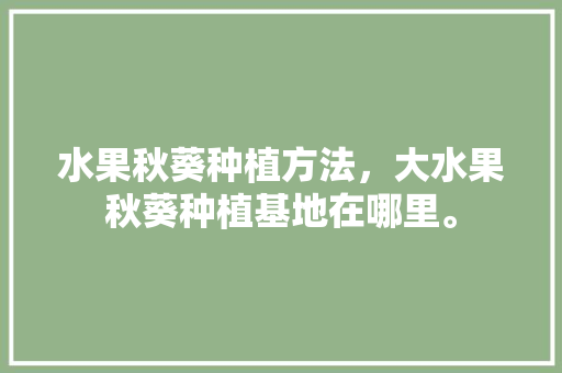 水果秋葵种植方法，大水果秋葵种植基地在哪里。