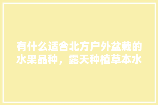 有什么适合北方户外盆栽的水果品种，露天种植草本水果有哪些。