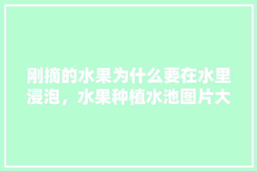 刚摘的水果为什么要在水里浸泡，水果种植水池图片大全。