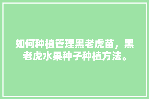 如何种植管理黑老虎苗，黑老虎水果种子种植方法。 如何种植管理黑老虎苗，黑老虎水果种子种植方法。 蔬菜种植