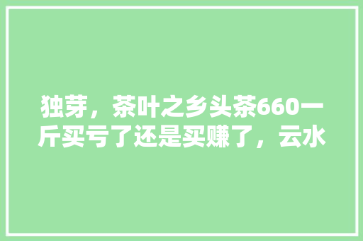 独芽，茶叶之乡头茶660一斤买亏了还是买赚了，云水农庄。 独芽，茶叶之乡头茶660一斤买亏了还是买赚了，云水农庄。 蔬菜种植