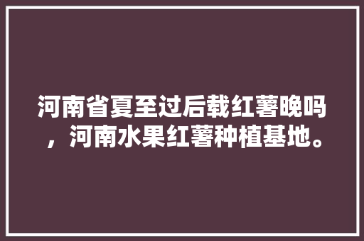 河南省夏至过后载红薯晚吗，河南水果红薯种植基地。