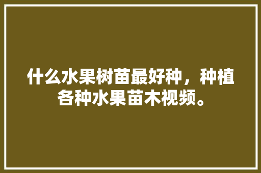 什么水果树苗最好种，种植各种水果苗木视频。