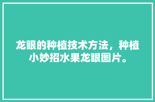 龙眼的种植技术方法，种植小妙招水果龙眼图片。