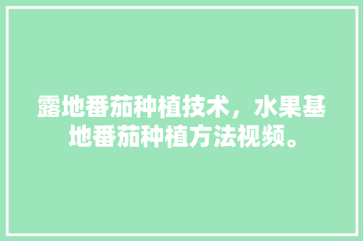 露地番茄种植技术，水果基地番茄种植方法视频。