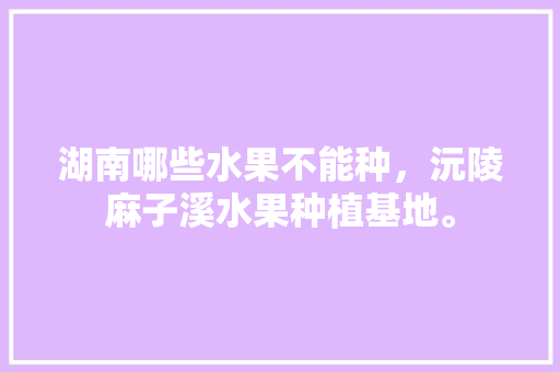 湖南哪些水果不能种，沅陵麻子溪水果种植基地。