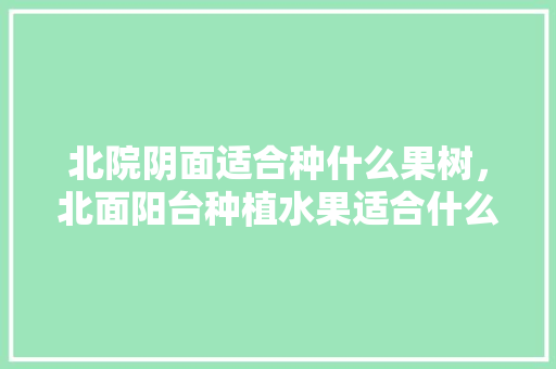 北院阴面适合种什么果树，北面阳台种植水果适合什么花。