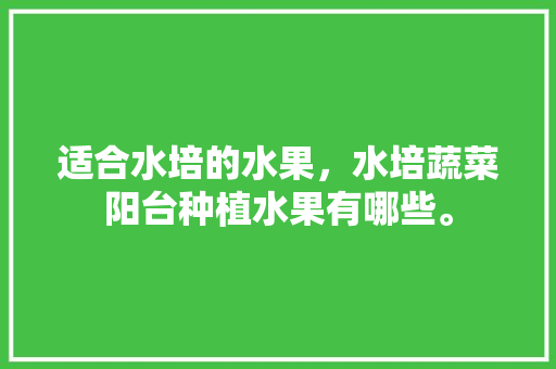 适合水培的水果，水培蔬菜阳台种植水果有哪些。