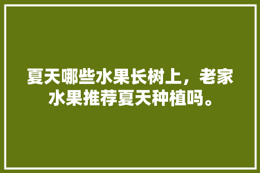 夏天哪些水果长树上，老家水果推荐夏天种植吗。