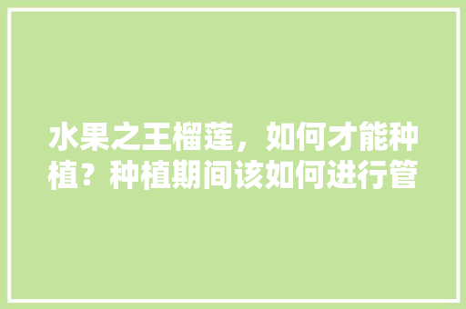 水果之王榴莲，如何才能种植？种植期间该如何进行管理，水果榴莲本地种植方法。