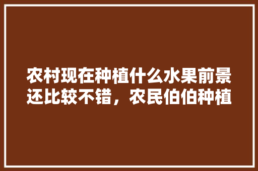 农村现在种植什么水果前景还比较不错，农民伯伯种植什么水果最好。