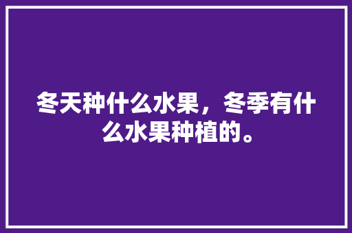 冬天种什么水果，冬季有什么水果种植的。