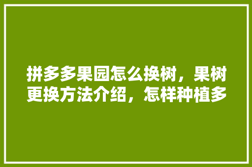 拼多多果园怎么换树，果树更换方法介绍，怎样种植多多果园水果苗。