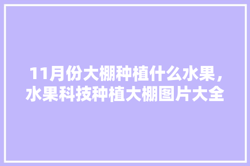 11月份大棚种植什么水果，水果科技种植大棚图片大全。 家禽养殖