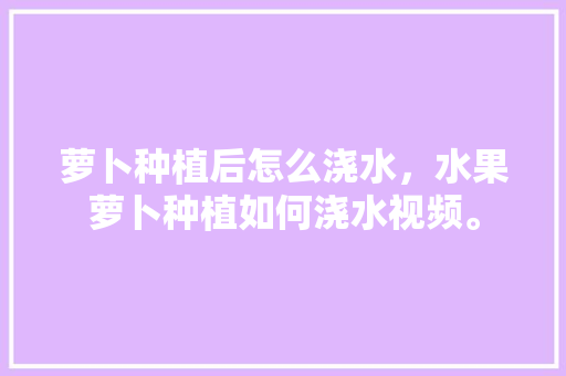 萝卜种植后怎么浇水，水果萝卜种植如何浇水视频。