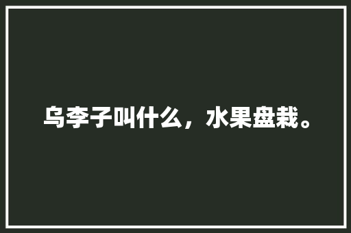 乌李子叫什么，水果盘栽。 乌李子叫什么，水果盘栽。 畜牧养殖