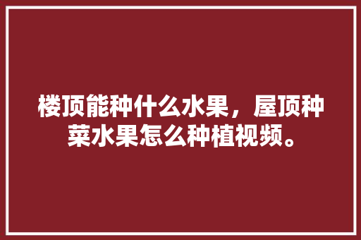 楼顶能种什么水果，屋顶种菜水果怎么种植视频。 楼顶能种什么水果，屋顶种菜水果怎么种植视频。 家禽养殖