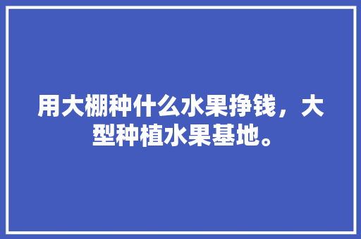 用大棚种什么水果挣钱，大型种植水果基地。 用大棚种什么水果挣钱，大型种植水果基地。 土壤施肥