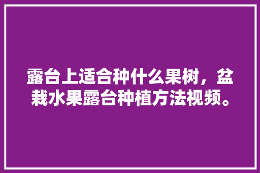 露台上适合种什么果树，盆栽水果露台种植方法视频。 露台上适合种什么果树，盆栽水果露台种植方法视频。 土壤施肥