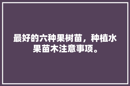 最好的六种果树苗，种植水果苗木注意事项。 最好的六种果树苗，种植水果苗木注意事项。 水果种植