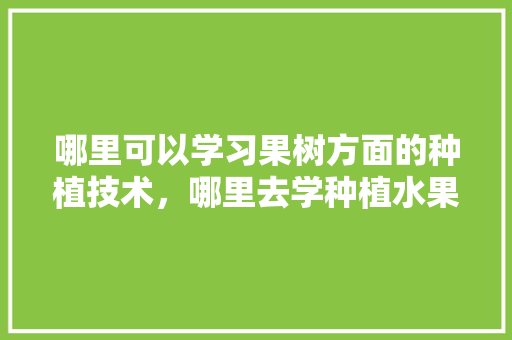 哪里可以学习果树方面的种植技术，哪里去学种植水果技术好。 哪里可以学习果树方面的种植技术，哪里去学种植水果技术好。 水果种植