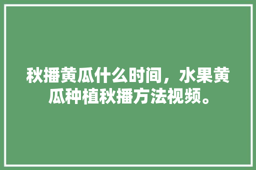 秋播黄瓜什么时间，水果黄瓜种植秋播方法视频。 秋播黄瓜什么时间，水果黄瓜种植秋播方法视频。 畜牧养殖