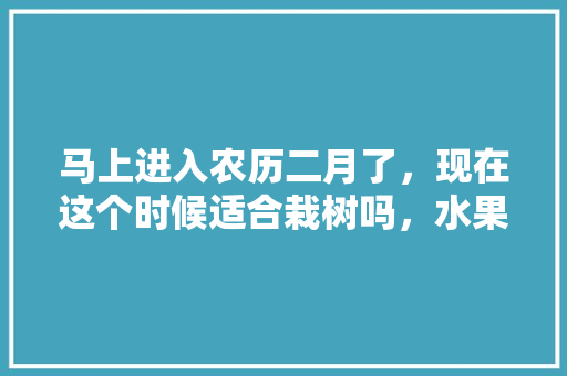 马上进入农历二月了，现在这个时候适合栽树吗，水果种植植物专家直播视频。