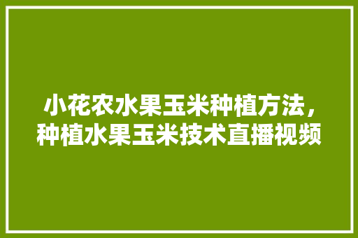 小花农水果玉米种植方法，种植水果玉米技术直播视频。