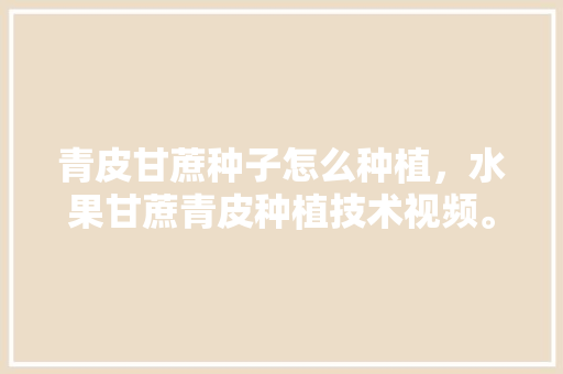 青皮甘蔗种子怎么种植，水果甘蔗青皮种植技术视频。